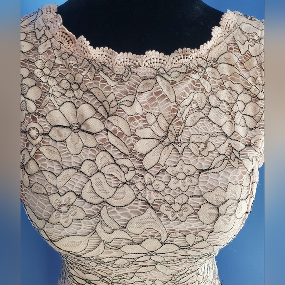 Light Pink Knee Length Dress - Picture 4 of 5